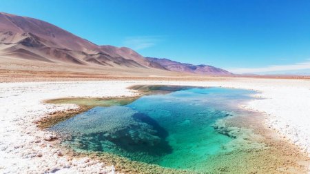 Techint va por el litio: busca comprar una empresa con yacimientos en Argentina