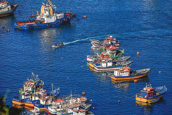 Gobierno ingresará nueva Ley de Pesca durante el segundo semestre: "Limpia de todo atisbo de corrupción"