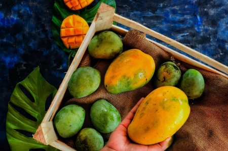 El 70% de exportaciones de mango peruano podrían correr riesgo por El Niño