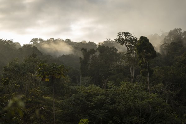 Grupo de Cambio ClimÃ¡tico de las Naciones Unidas trabaja para definir los mercados de carbono