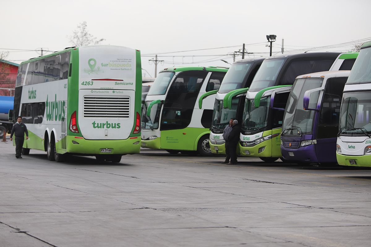 <p>La pelea en tribunales entre Tur Bus y gobierno regional de Atacama</p>