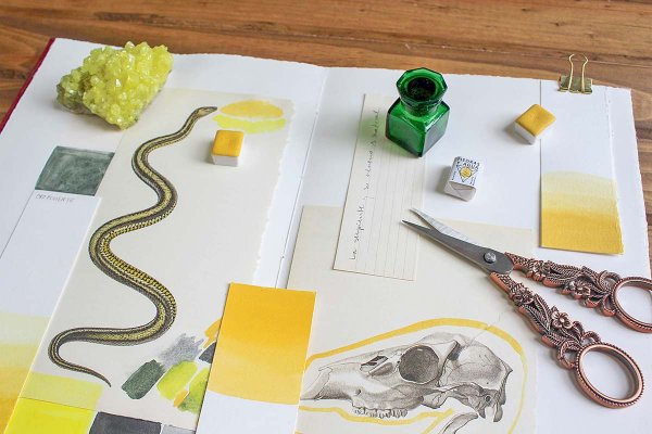 Las tres creadoras chilenas que trabajan con los colores de la naturaleza