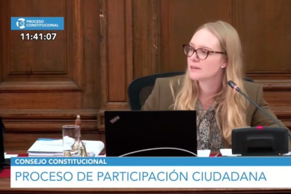 <p>Ahora en DF | Consejo Constitucional inicia la primera sesión del Pleno para abordar la Participación Ciudadana</p>