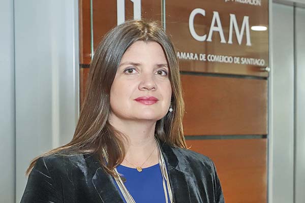Macarena Letelier, directora ejecutiva del CAM Santiago. Foto: Archivo