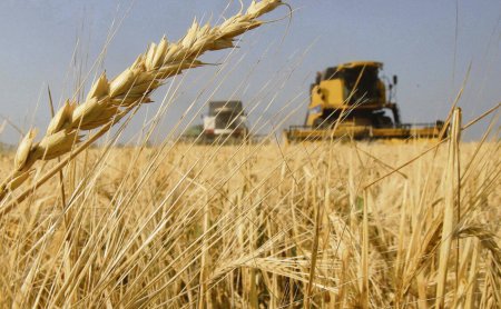 Bunge se fusiona con Viterra para convertirse en la principal exportadora de granos de Argentina