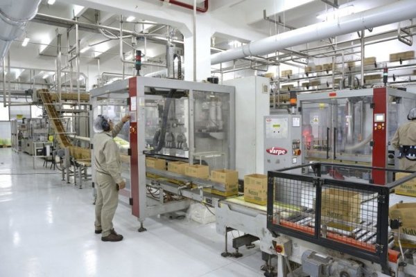 Dos gigantes del agro argentino se unen para producir bietanol en Córdoba con una inversión de US$ 54 millones