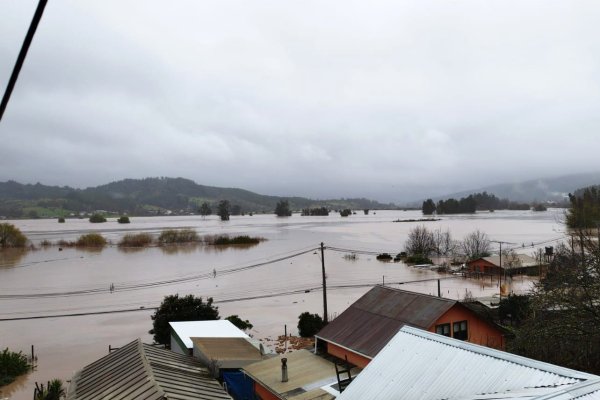 Arauco detiene operación de planta de celulosa en Licantén por inundaciones en la zona