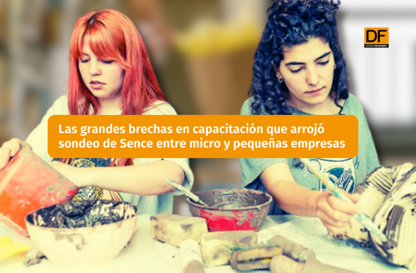 Las grandes brechas en capacitación que arrojó sondeo de Sence entre micro y pequeñas empresas