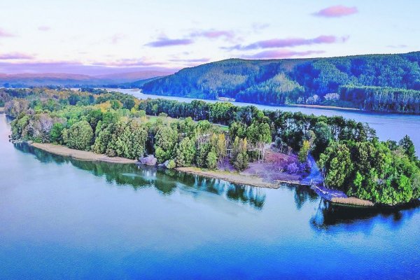 Las nuevas formas de habitar lo rural