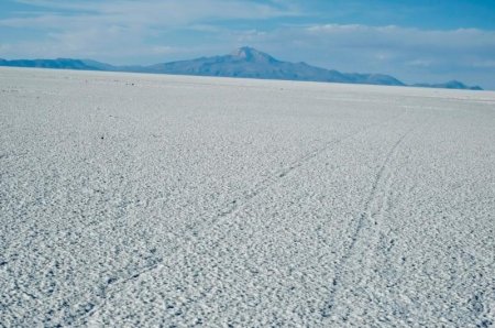 Argentina fortalece su industria de litio en colaboración con Livent para la producción de celdas y baterías