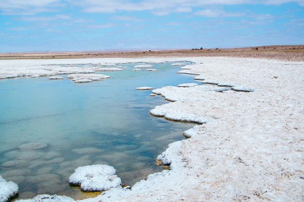 Llamara, el desconocido salar que contiene litio y tierras raras que miran inversionistas extranjeros