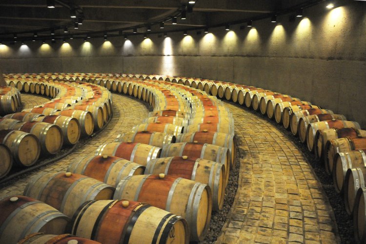 <p>Viñas latinoamericanas entre las mejores del mundo: 7 son chilenas, 6 argentinas y 2 uruguayas</p>