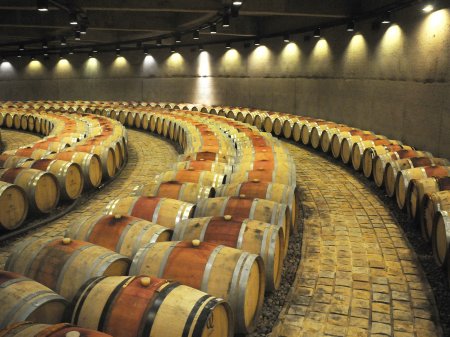 <p>Viñas latinoamericanas entre las mejores del mundo: 7 son chilenas, 6 argentinas y 2 uruguayas</p>