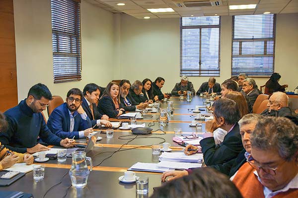 La subsecretaria Heidi Berner en su presentación a los gremios PYME. Foto: Ministerio de Hacienda