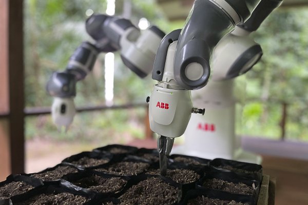 El robot automatiza el proceso de siembra en viveros, previo al traslado del brote a la tierra.
