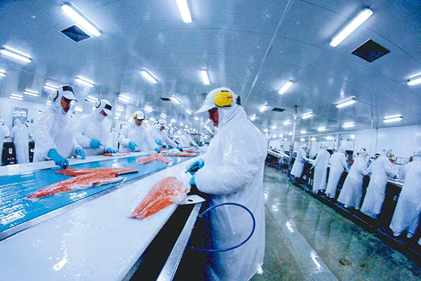 Salmoneras activan agenda política tras el estrecho rechazo a la norma de prohibición en áreas protegidas