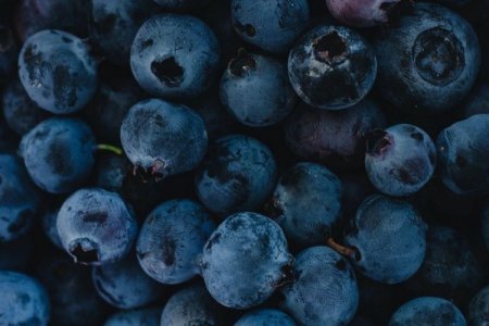 <p>Perú es el principal proveedor de arándanos a India, pero podría perder la corona ante Chile</p>