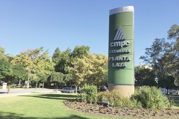 Ejecutivo de CMPC y violencia en la macrozona sur: “Hay un cambio de actitud del país que ya ha mostrado efectos”