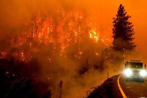 En el cálido verano europeo, una oleada de incendios forestales asola la cuenca del Mediterráneo, con llamas aún fuera de control en zonas de Italia, Grecia, Argelia y Túnez.