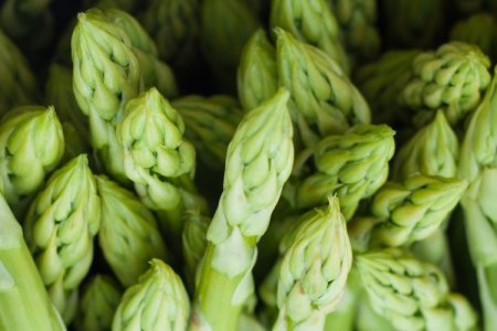 <p>Radiografía al mercado de espárragos: Perú encabeza la exportación sudamericana y a nivel global solo lo supera China</p>