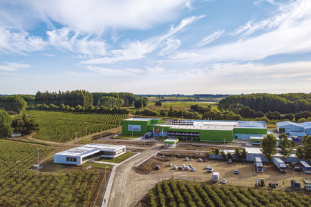 <p>Mayor productor de arándanos de Chile y filial inician reorganización financiera: deudas superan los US$ 115 millones</p>