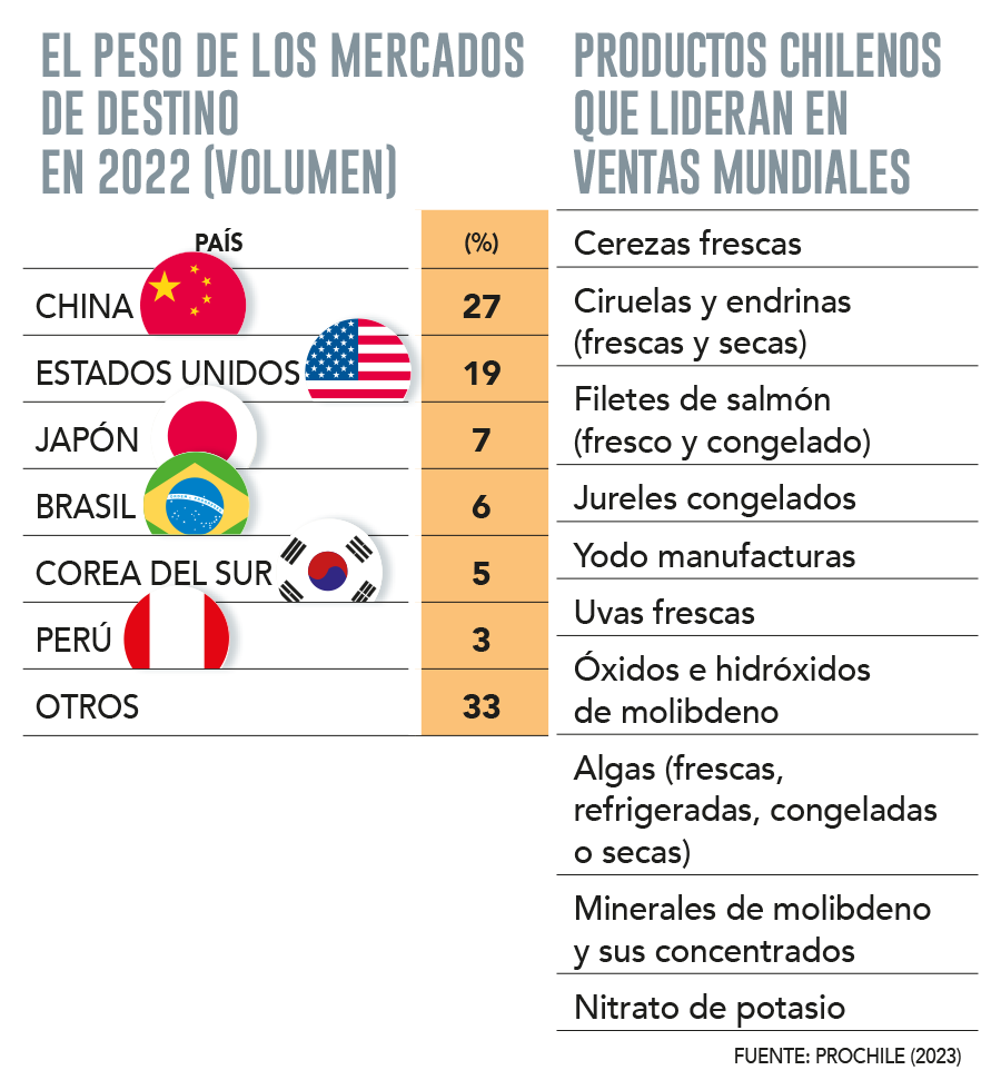 Más allá del cobre y litio: Chile tiene 61 productos en el top ten del ranking internacional de exportaciones