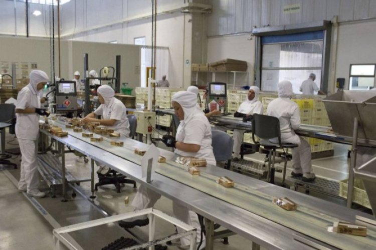 <p>Nutresa: la empresa más rentable en el año de Petro, pero por la llegada de Gilinski como nuevo propietario</p>