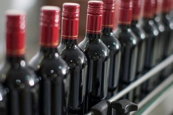 Escala la guerra de bodegas: chilena Concha y Toro es llevada a juicio en EEUU acusada de usurpar la marca Patagonia