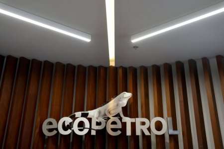 <p>Ecopetrol anuncia nuevo hallazgo de petróleo y gas en la cuenca del Putumayo</p>
