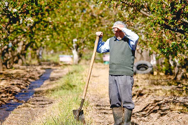 <p>Casen 2022 ratifica la persistente brecha de la pobreza entre el mundo rural y la ciudad</p>