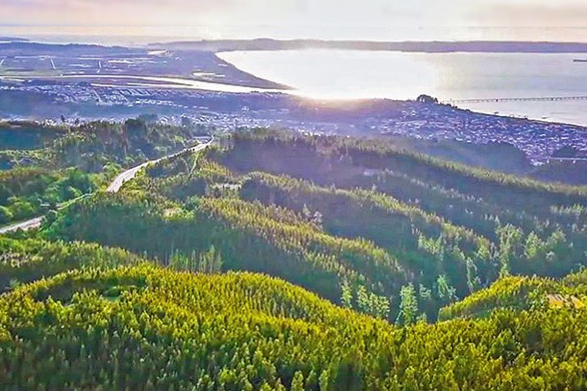 <p>El interés de Rolls Royce en proyecto de Tierras Raras en Penco: “Es importante para el mundo”</p>