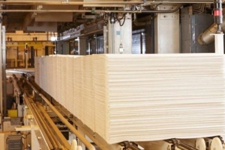 <p>Suzano anuncia aumento de precio de celulosa en Asia, Europa y América a partir de septiembre</p>