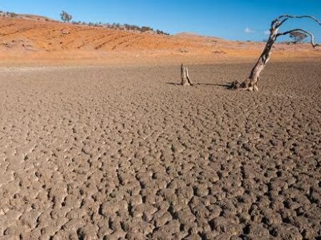 <p>Cinco regiones peruanas reducirán sus cultivos en campaña 2023-2024 por los efectos de El Niño</p>