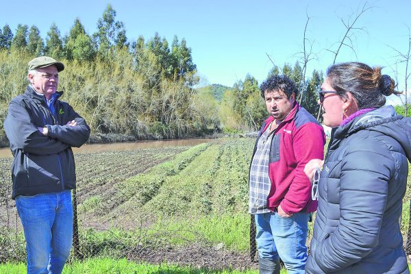 El presidente de la SNA, Antonio Walker, recorrió predios de agricultores en O’Higgins.