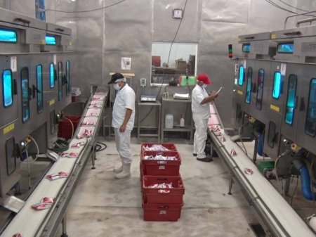 A un paso de la quiebra: la cooperativa lechera colombiana Coolechera entraría en insolvencia