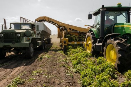 Tras sequía, Argentina prevé aumento de 70% en campaña agrícola 2023-2024