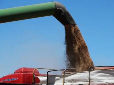 Sequía golpea a Uruguay: economía cae 1,4% en el segundo trimestre del año