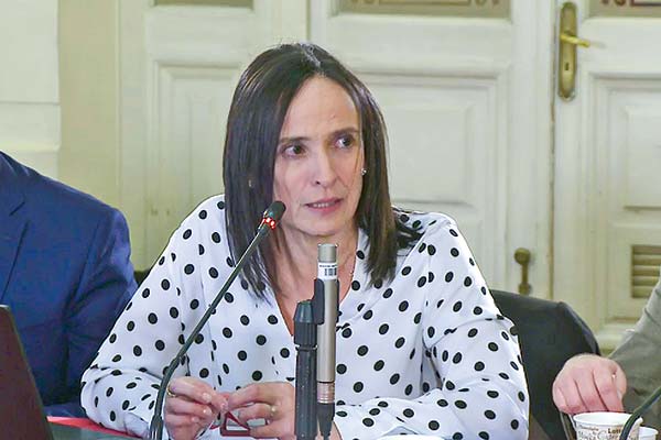 La directora de Chile Compra, Verónica Valle, expuso en el Congreso, sobre el incidente.
