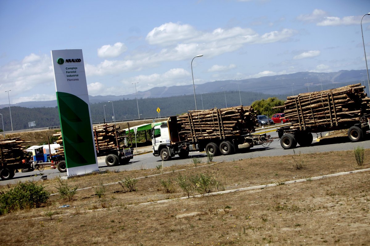 <p>La masiva videollamada, las áreas afectadas y los nuevos cargos: la trastienda de la reorganización de Arauco</p>