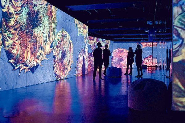 Guía de Ocio: El arte por dentro