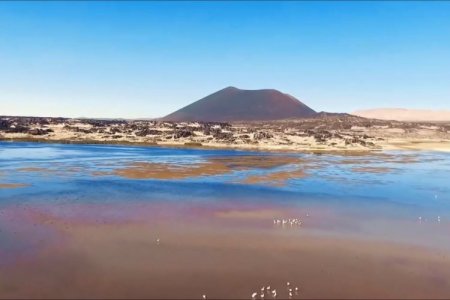 Lilac Solutions avanza en su hoja de ruta en Latinoamérica: “Estamos a un paso de la industrialización de nuestra tecnología”