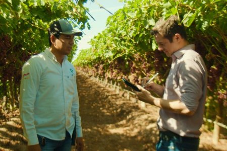 Volatilidad de precios y el clima: los principales desafíos en la cadena agrícola de Latinoamérica