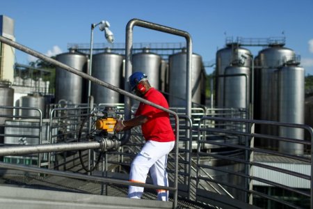 Reducción de costos y tipo de cambio impulsan ganancia neta de brasileña Ambev en el tercer trimestre