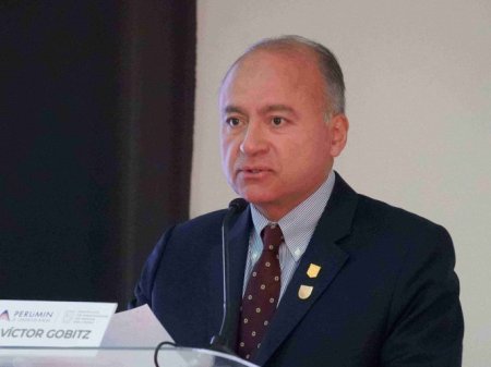 <p>Presidente del gremio minero en Perú lamenta crisis de proyectos y advierte sobre avance en la actividad ilegal</p>