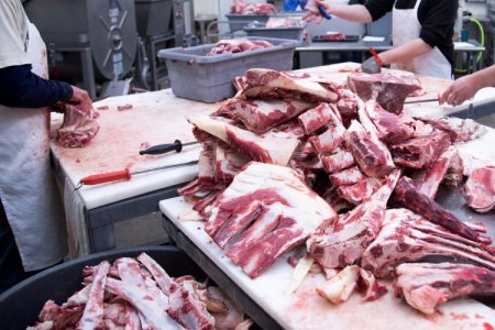 <p>Productoras de carne de Brasil caen en el tercer trimeste: ¿qué ocurre en la industria?</p>