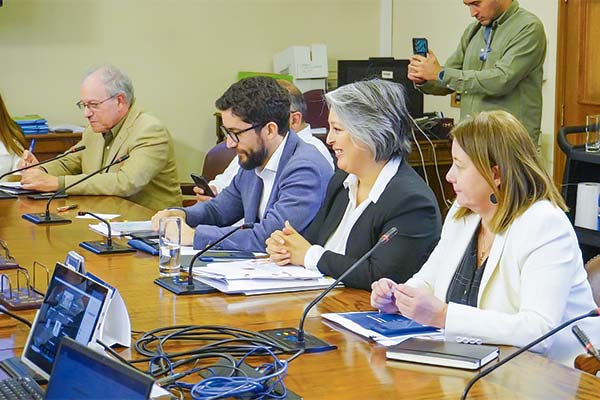 La ministra Jara y la subsecretaria Berner expusieron ante diputados.