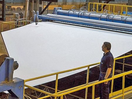 <p>La fuerza de la celulosa en América Latina: ¿por qué su precio continúa creciendo?</p>