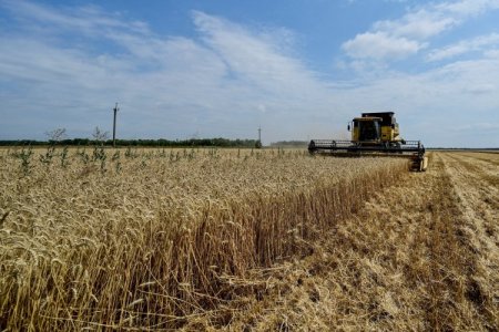 <p>Perú: Se duplican precios de seguros agrarios ad portas de El Niño</p>