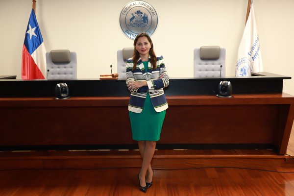 Marcela Godoy asumió la presidencia del Segundo Tribunal Ambiental, con sede en Santiago, el 27 de septiembre. Foto: Julio Castro