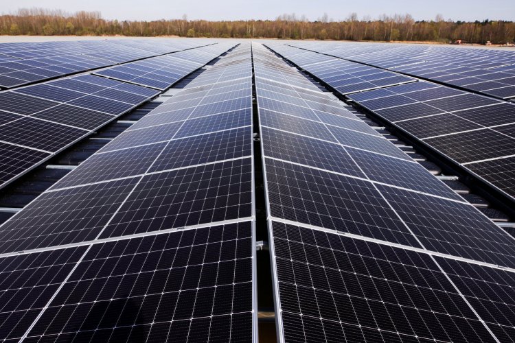 <p>Colombiana Primax inauguró más de 1.200 paneles solares como parte de su proyecto energético</p>